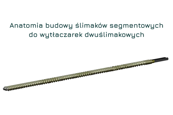Anatomia ślimaków segmentowych w wytłaczarkach dwuślimakowych współbieżnych