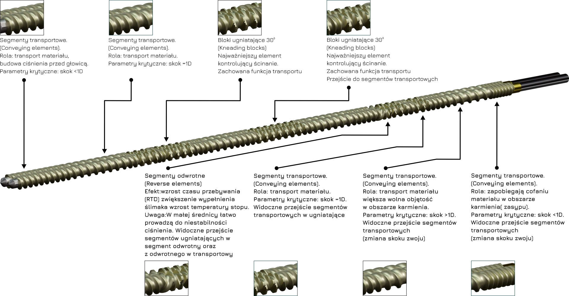 Anatomia ślimak&oacute;w segmentowych do wytłaczarek dwuślimakowych wsp&oacute;łbieżnych.